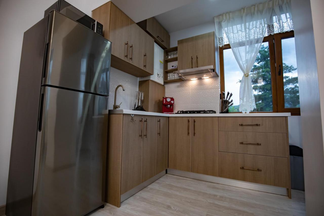 Apartament Natalia Aknavásár Kültér fotó