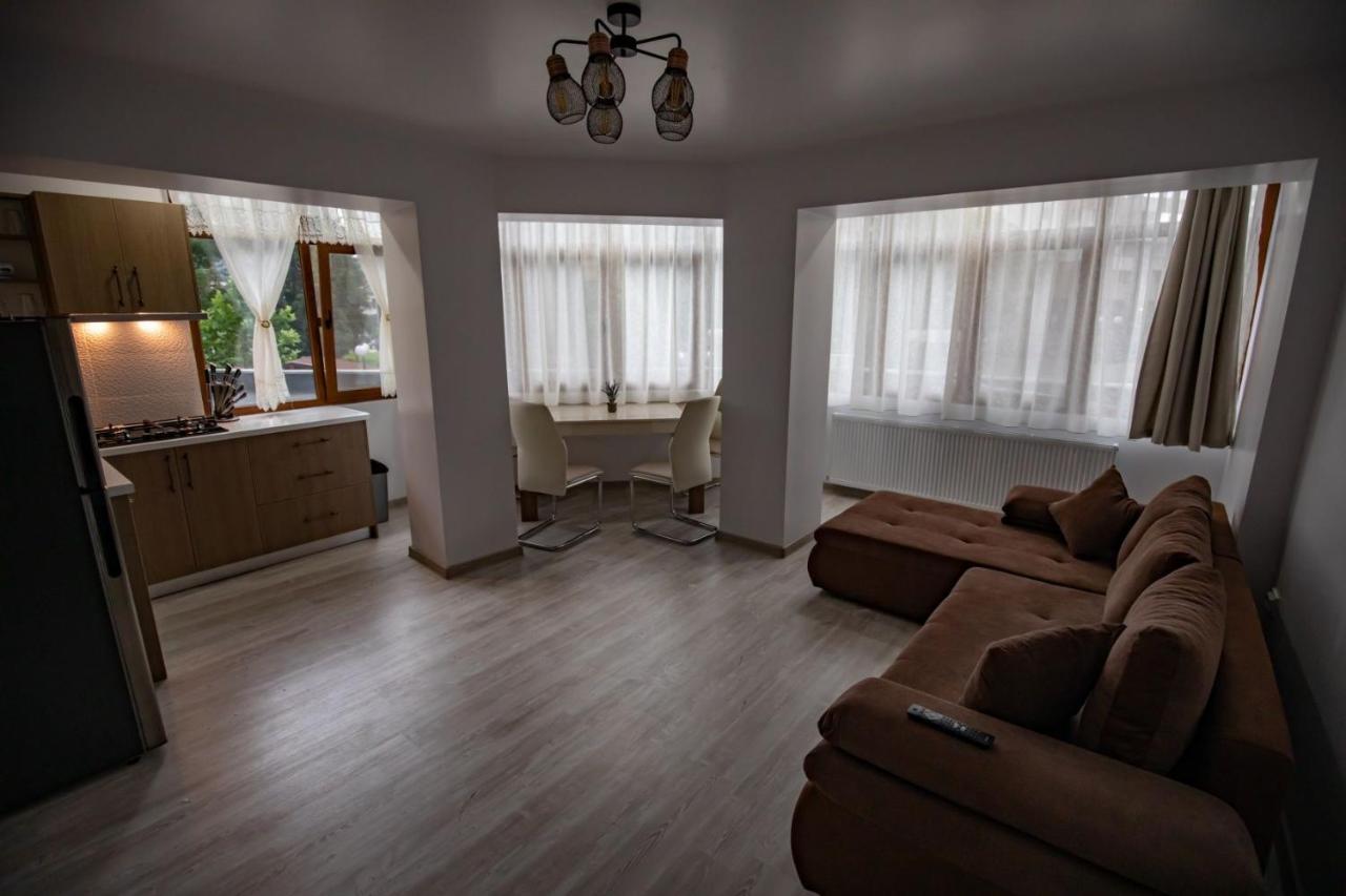 Apartament Natalia Aknavásár Kültér fotó