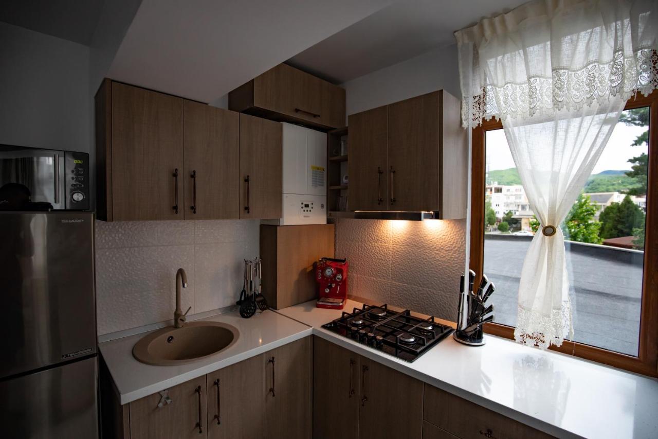 Apartament Natalia Aknavásár Kültér fotó